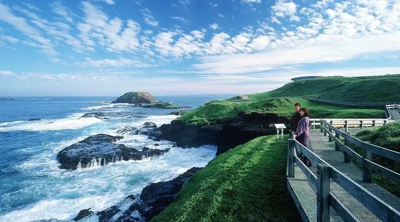 phillip island eco tours