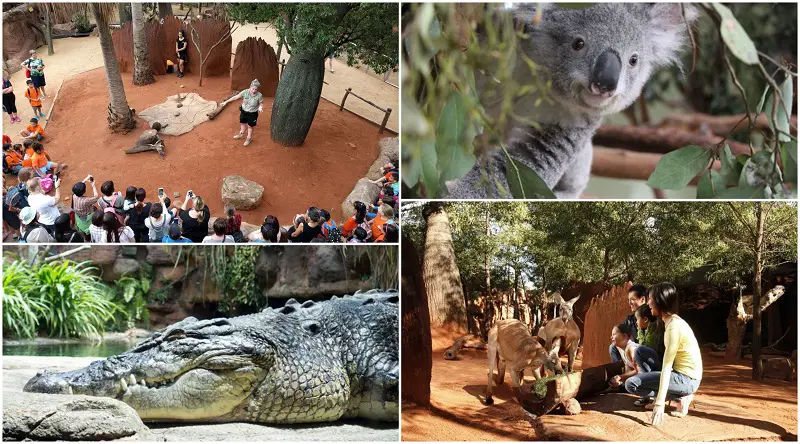 tourist attraction sydney