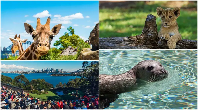 tourist attraction sydney