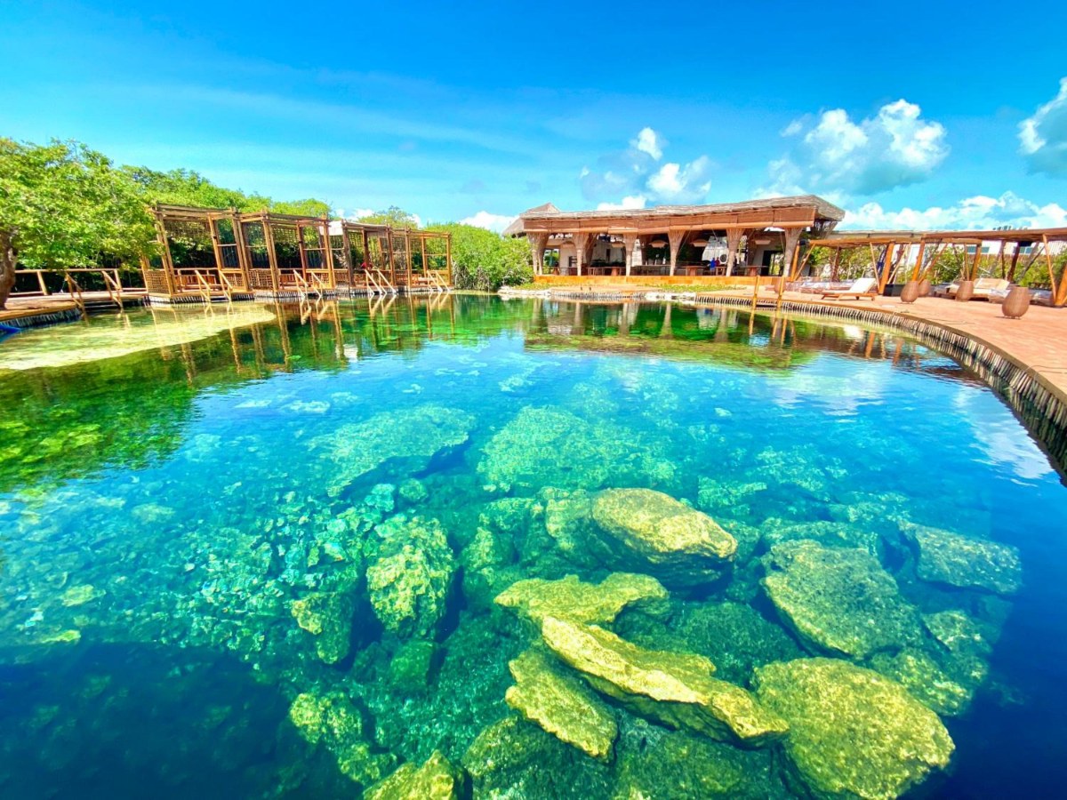 Clear water of the Tuuch cenote at Hotel Shibari Tulum