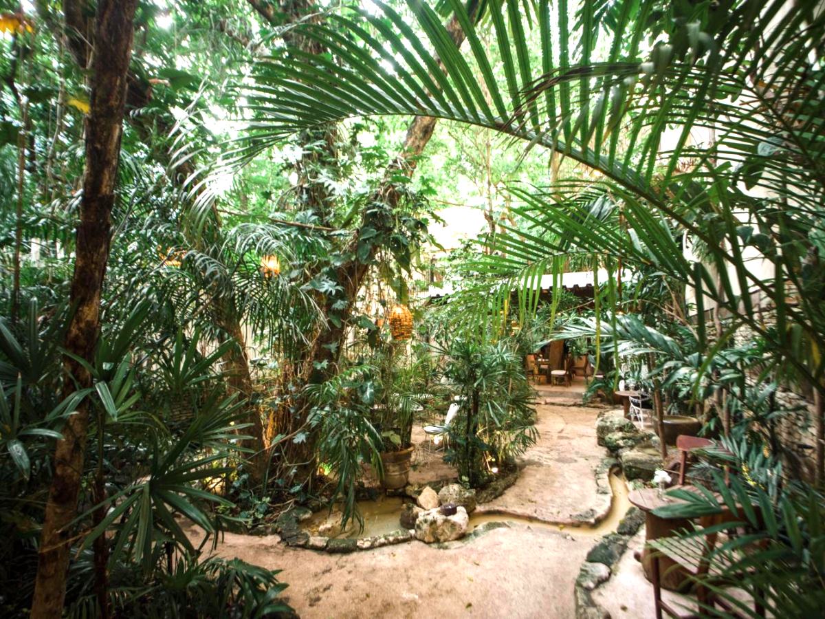 Palm-filled garden courtyard at Hotel La Semilla