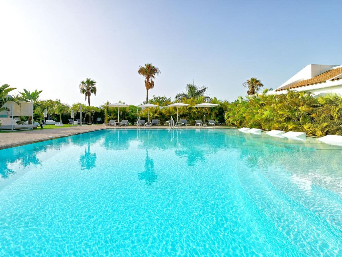 Saltwater pool framed by palms at Seven Hotel & Wellness