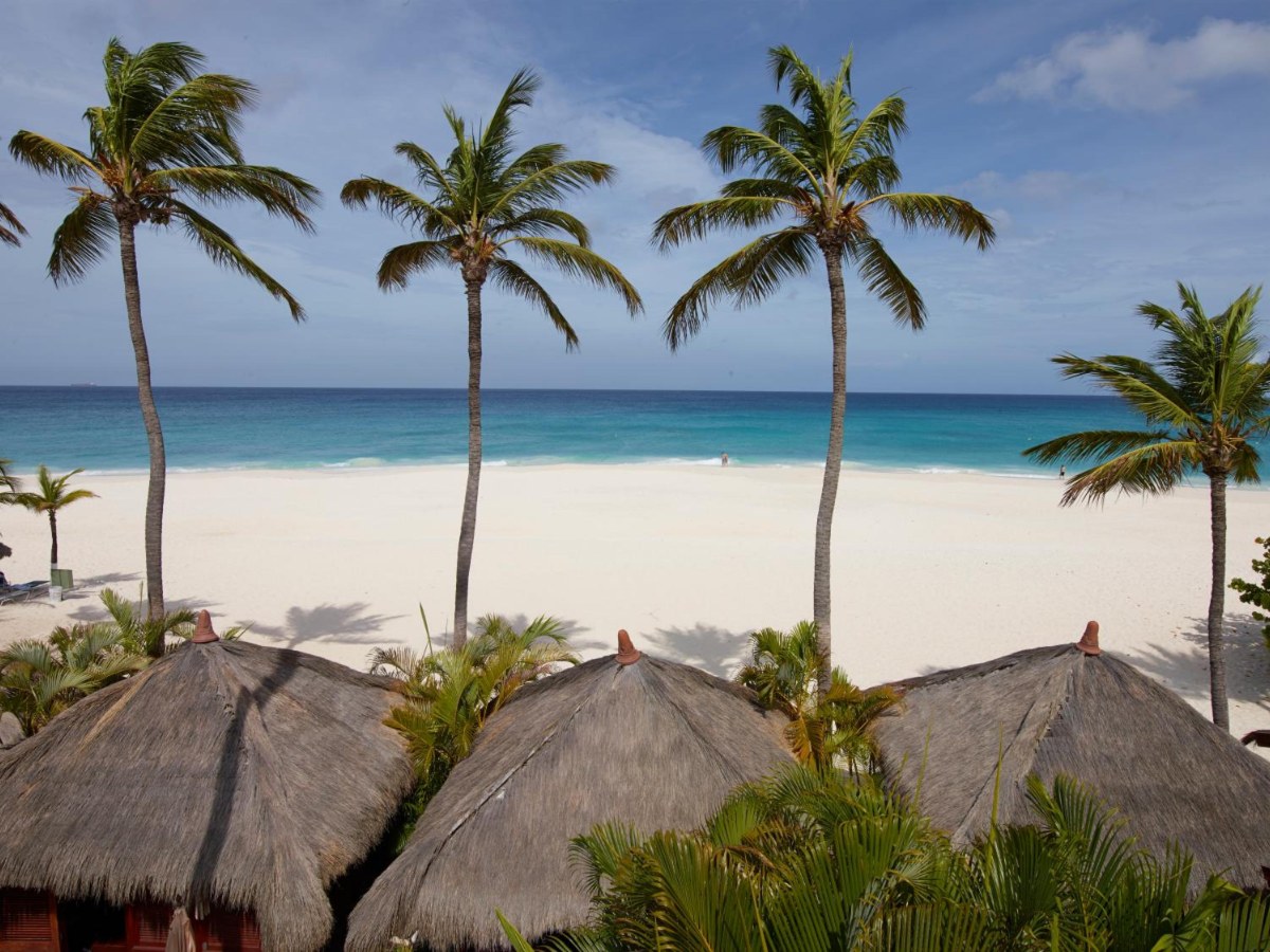 Beach with palm trees and palapas at Manchebo Beach Resort and Spa