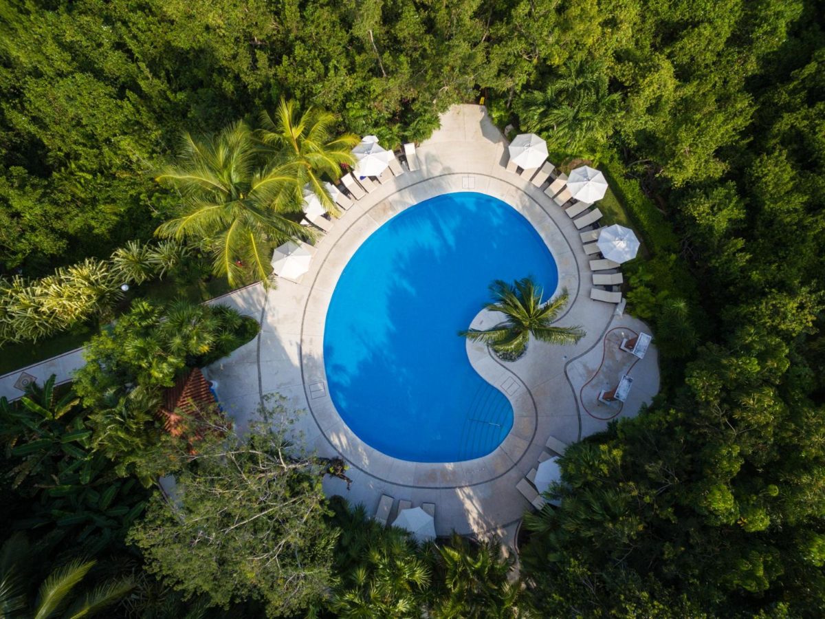 Kidney-shaped pool with loungers surrounded by trees at Occidental Cozumel