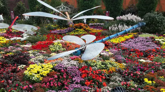 Flower Dome